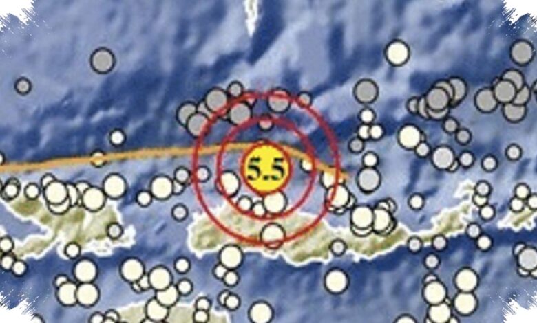 Tsunami hingga 1,61 Meter Menyertai Gempa Flores, Sesar Masih Aktif