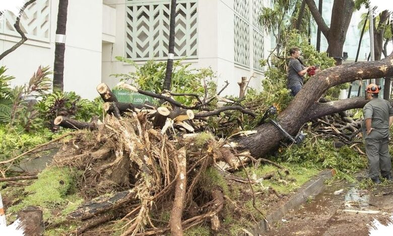 160 Ribu Pelanggan Padam, Badai Lala Lumpuhkan Layanan Penting di Hawaii