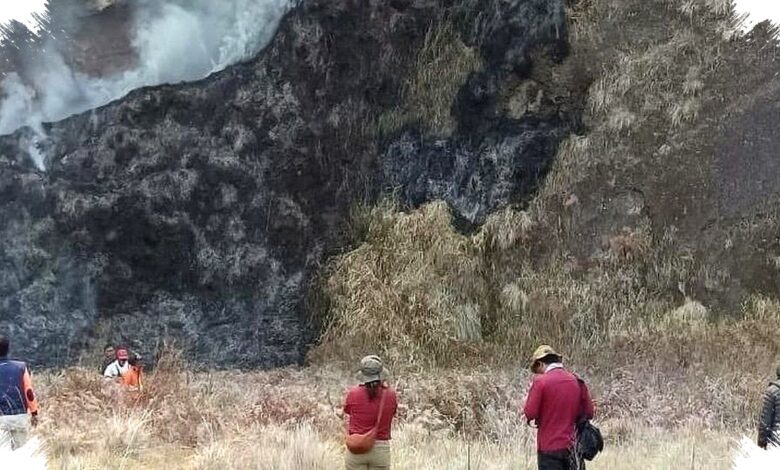 Api Bromo Sudah Terkendali, Bara di Serasah Masih Mengancam Kawasan Sekitar