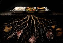 6 Bekal Pejuang saat Beras Langka, dari Nasi Oyek hingga Janeng Hutan Aceh