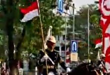 300 Kuda untuk TNI Dihitung Rp300 Miliar, Harga Resmi per Ekor Belum Terbuka