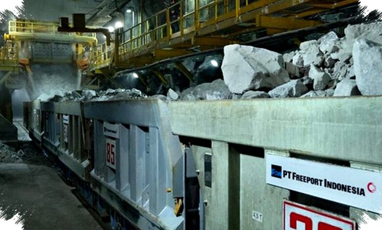 Setoran Freeport Diproyeksi Turun Rp28 Triliun, Produksi 2026 Baru Capai 65%