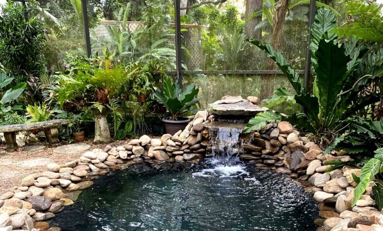 8 Gaya Taman Mini dengan Kolam Ikan, Solusi Ruang Sempit yang Tetap Menenangkan