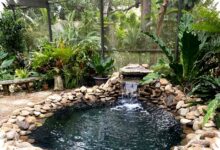 8 Gaya Taman Mini dengan Kolam Ikan, Solusi Ruang Sempit yang Tetap Menenangkan