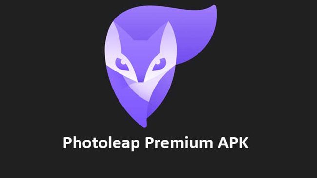 Photoleap Mod Apk