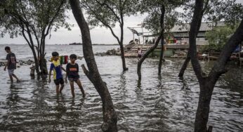 BMKG Ingatkan Potensi Banjir Rob di Jakarta