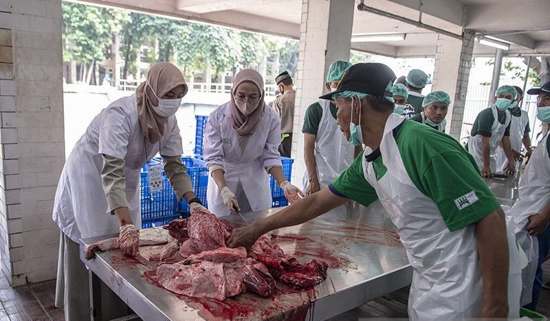 Distribusi Daging Kurban Istiqlal Lewat 200 Yayasan