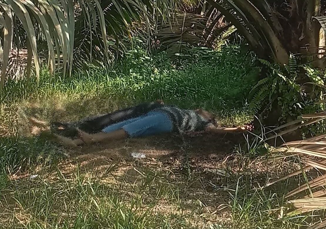 2 Pekerja Ditemukan Tewas di Kebun Sawit, Polisi Selidiki Utang